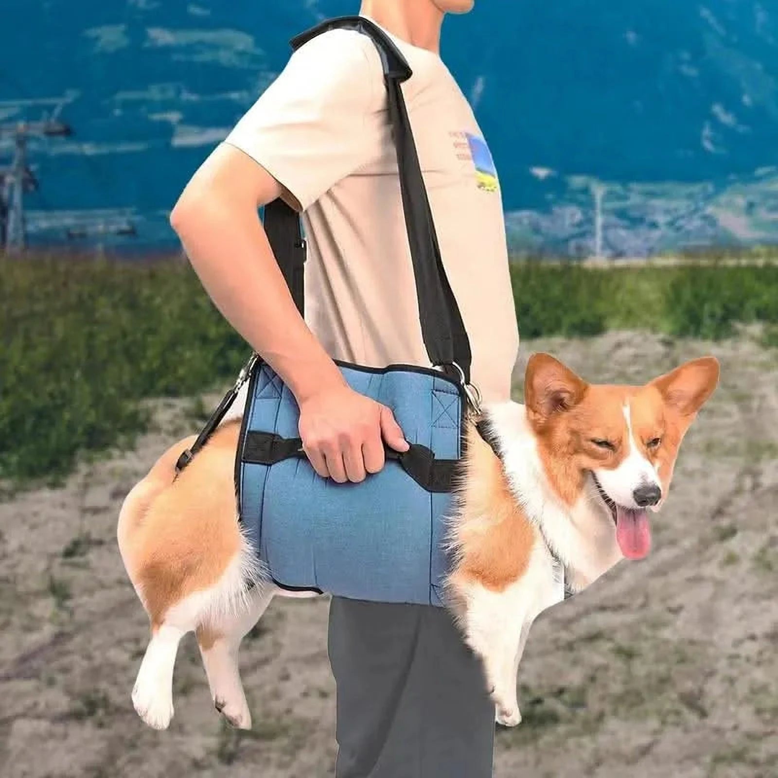 HarnBuddy Hond | Ondersteuningsharnas voor Mobiliteit