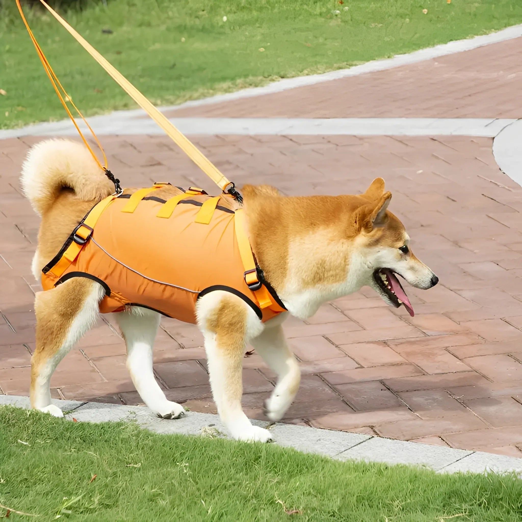 HefHulp Harnas | Ondersteunend Tilharnas voor Herstel en Mobiliteit van Honden