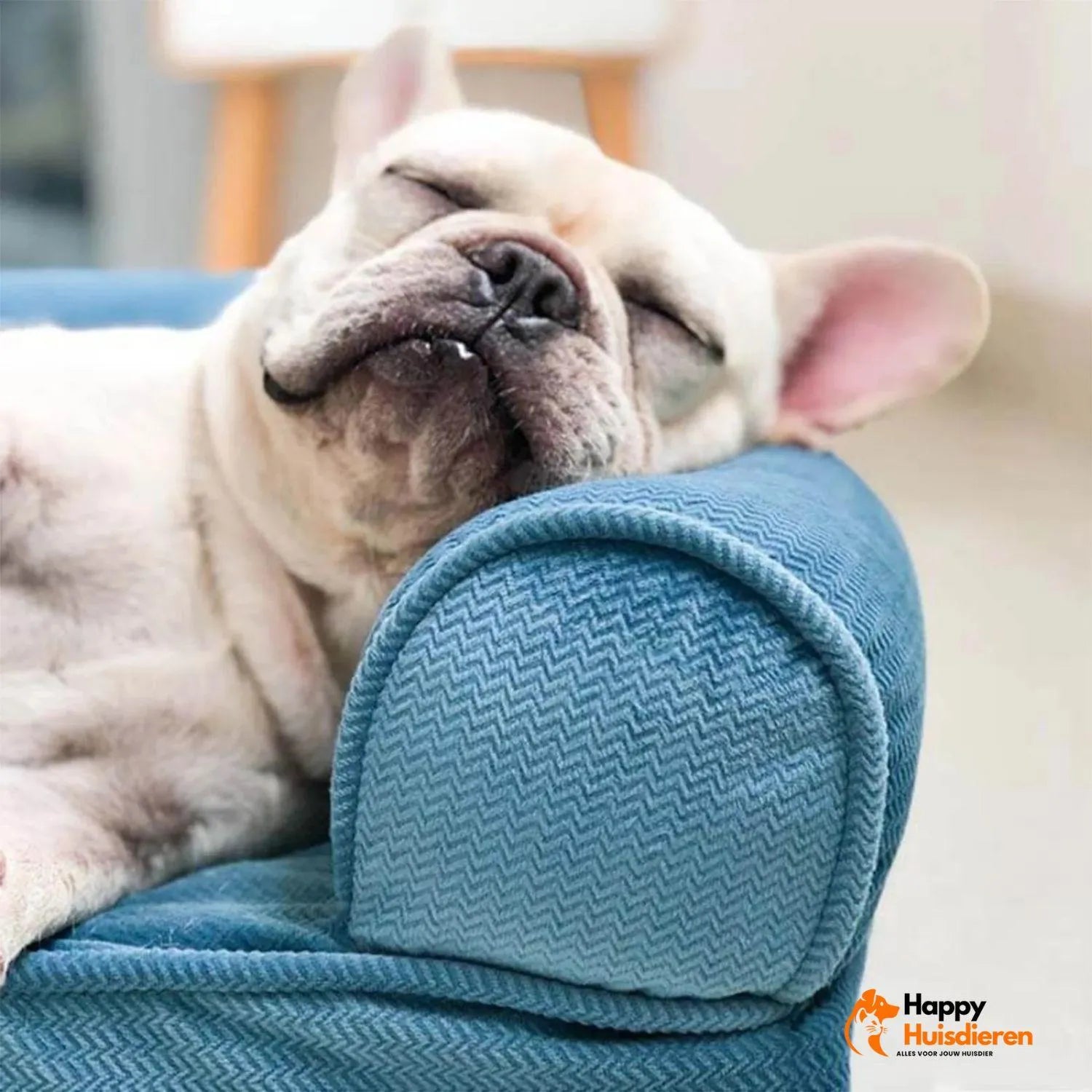 Honden LoungeHoek | Afneembare Vierkante Hondenbank voor Ultiem Comfort