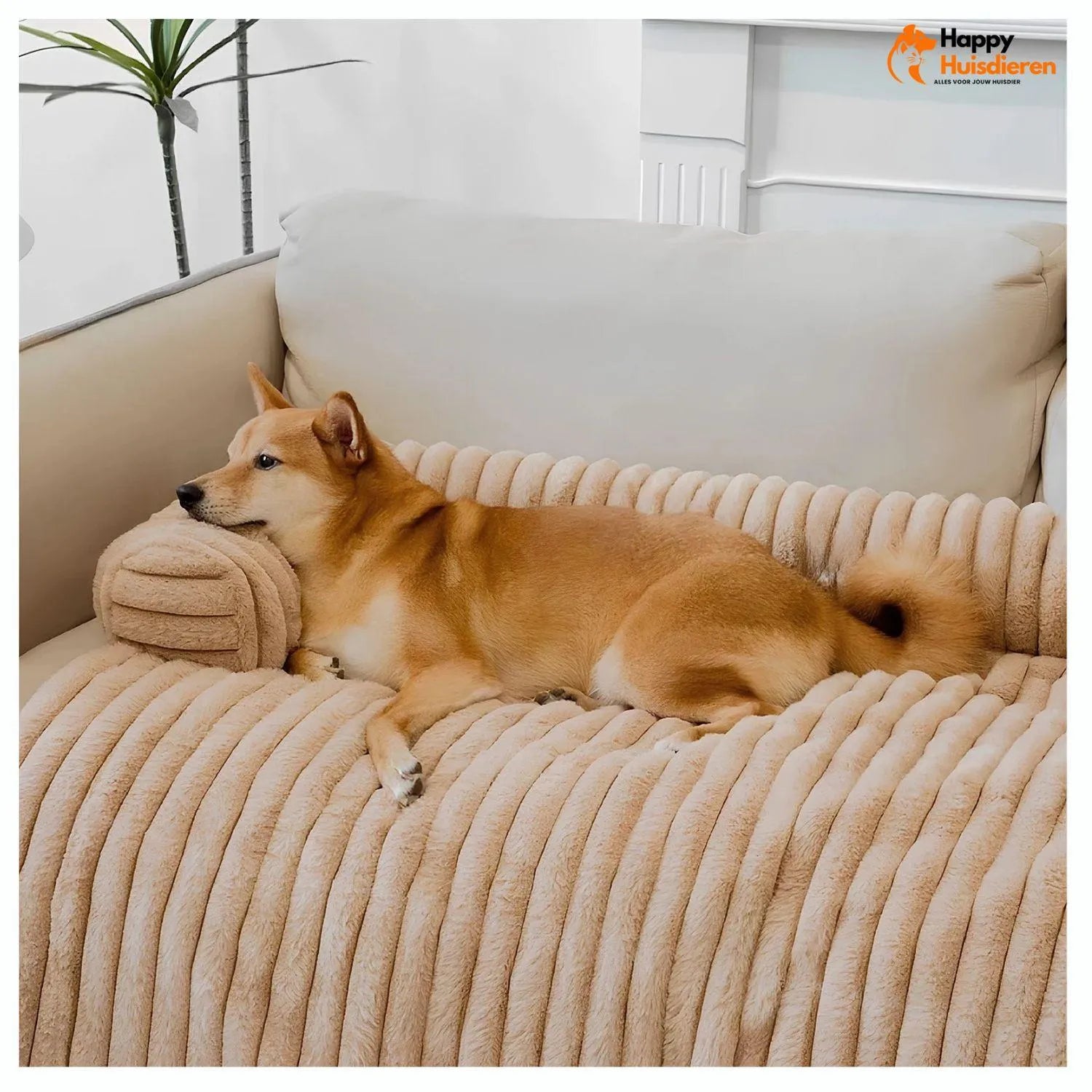 Hondenknuffel Plaid | Fluweelzachte Sofa Bescherming en Comfort