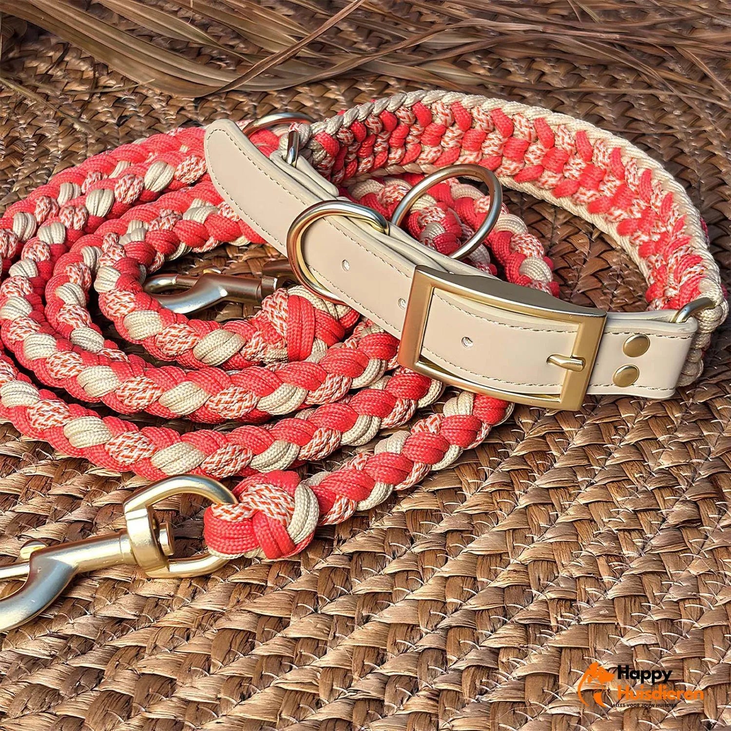 Hondenvriend Duo | Handgeweven Leren Anti-Trek Halsband en Lijn Set