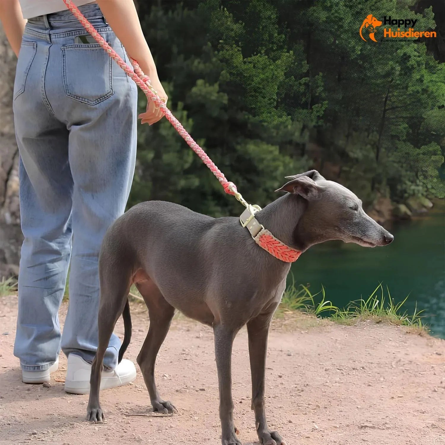 Hondenvriend Duo | Handgeweven Leren Anti-Trek Halsband en Lijn Set