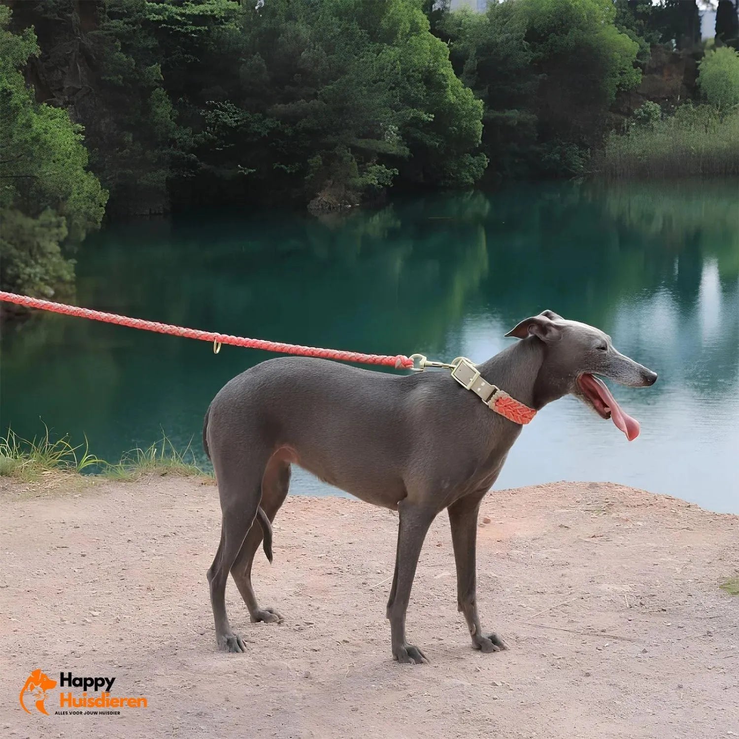 Hondenvriend Duo | Handgeweven Leren Anti-Trek Halsband en Lijn Set