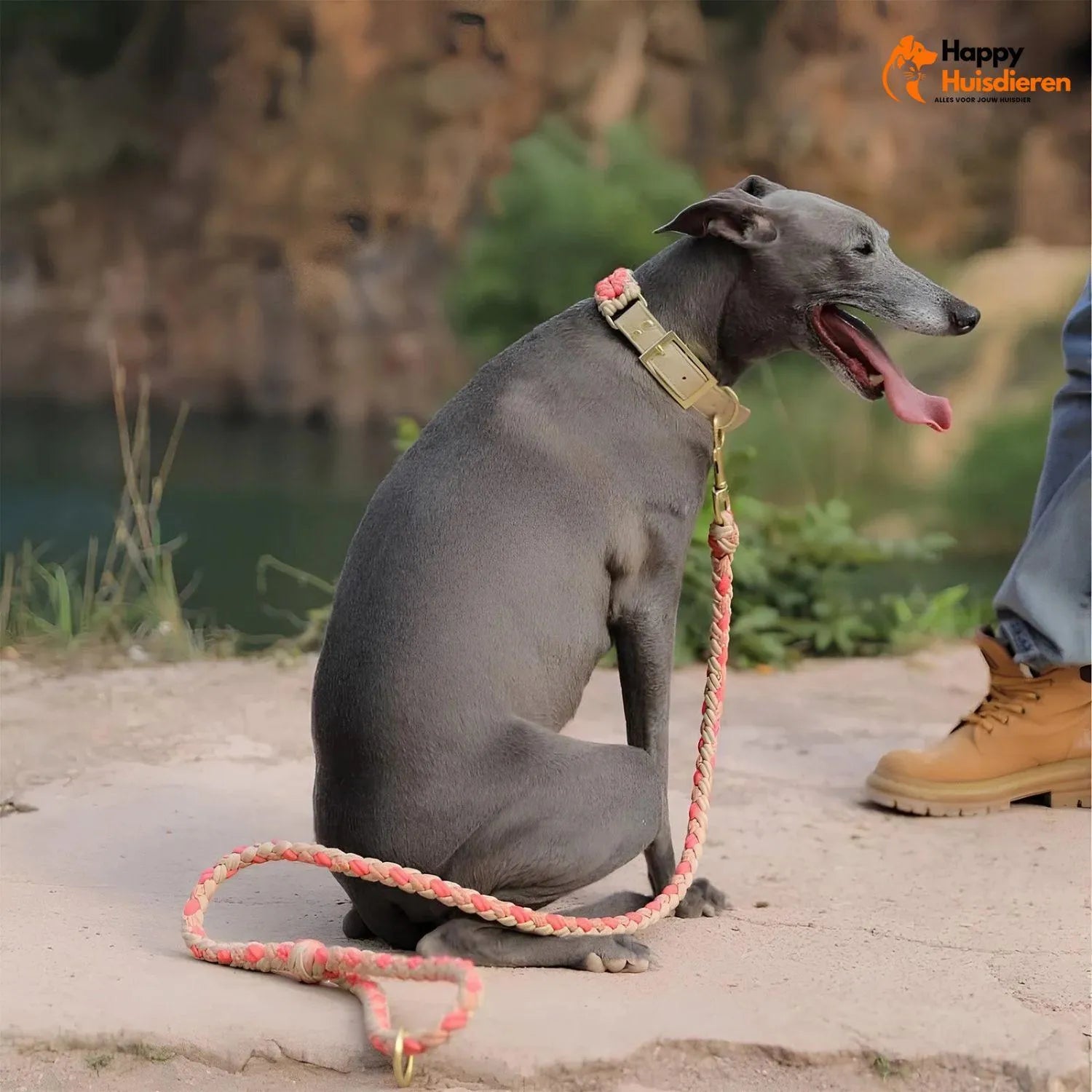Hondenvriend Duo | Handgeweven Leren Anti-Trek Halsband en Lijn Set