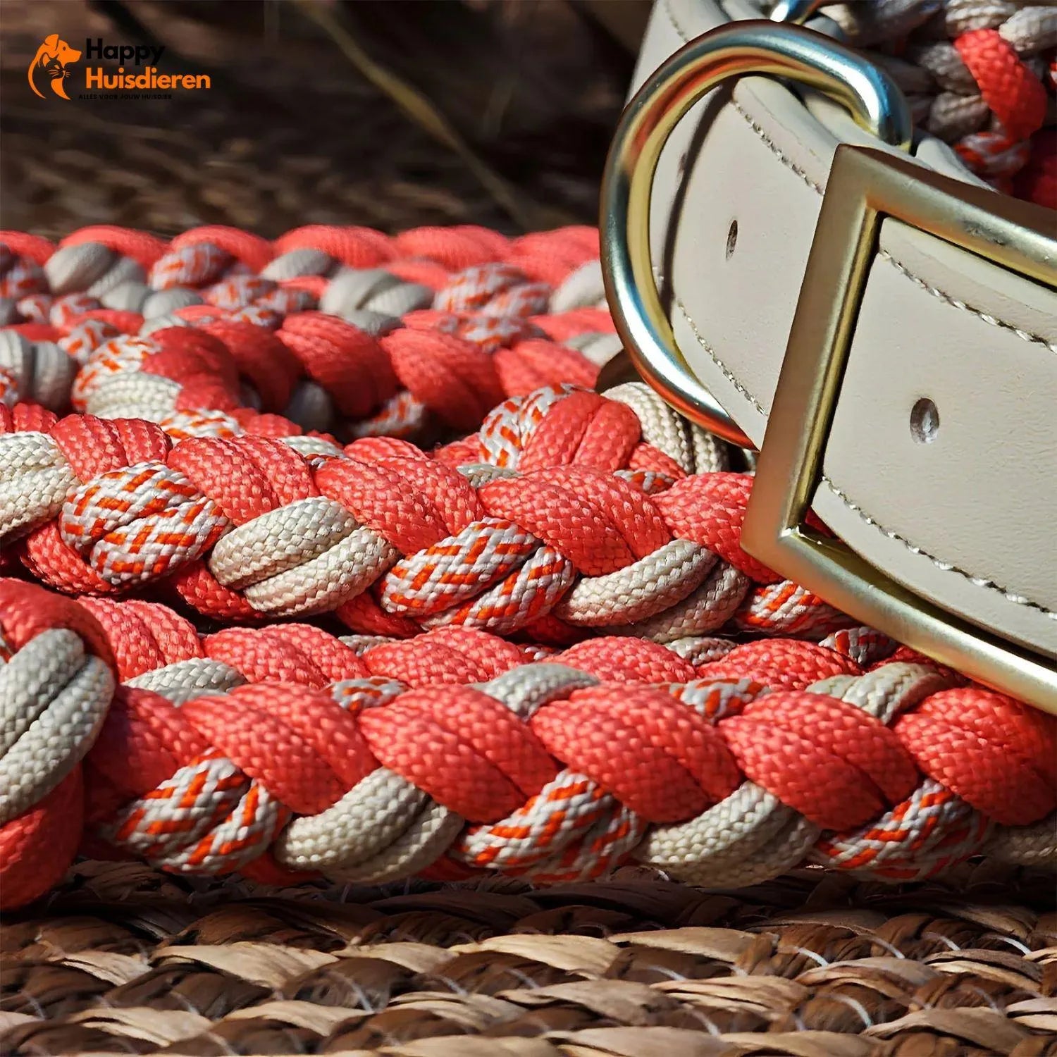 Hondenvriend Duo | Handgeweven Leren Anti-Trek Halsband en Lijn Set