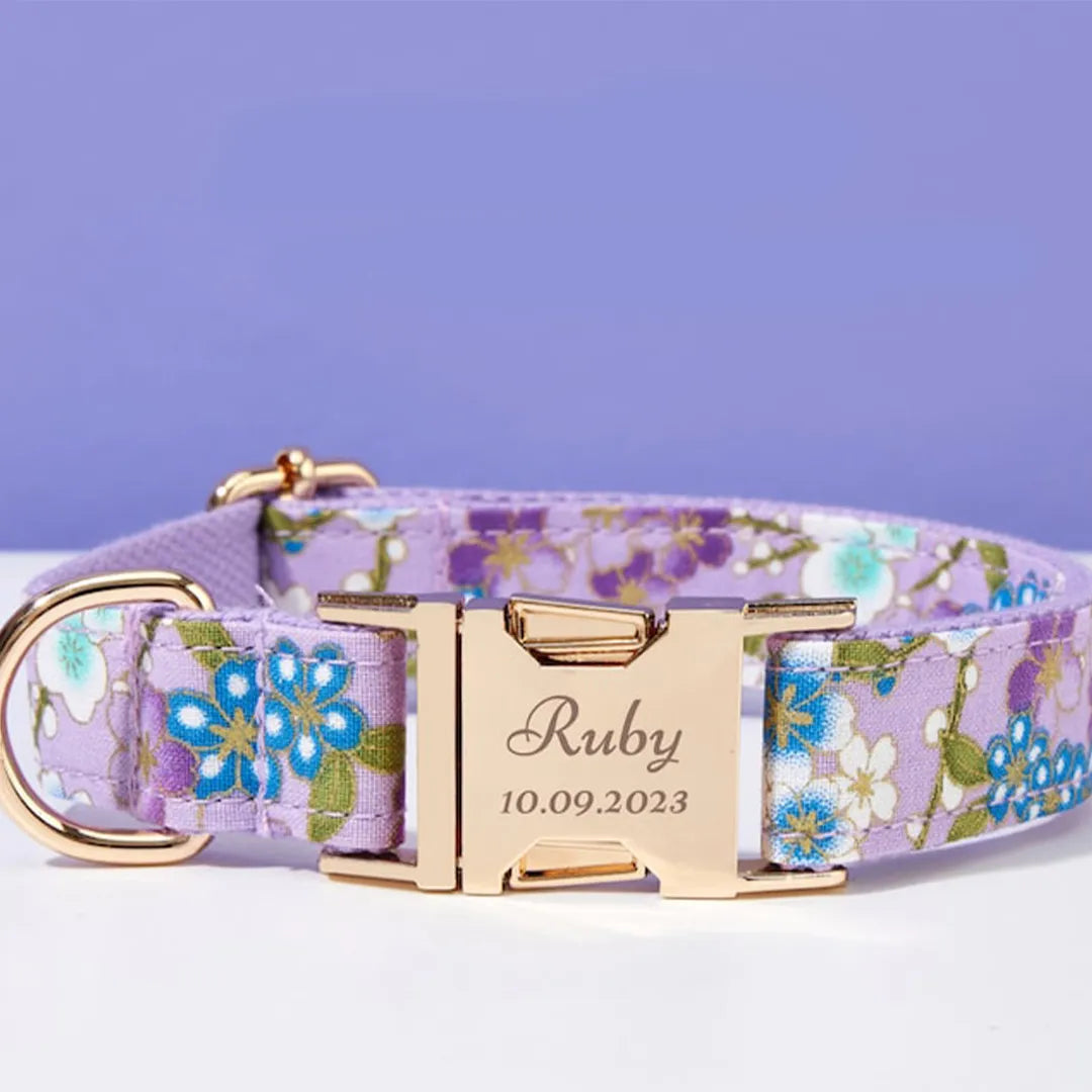 IDStyle Halsband & Riem Set | Gepersonaliseerde Katoenen Hondenhalsband met Gravure