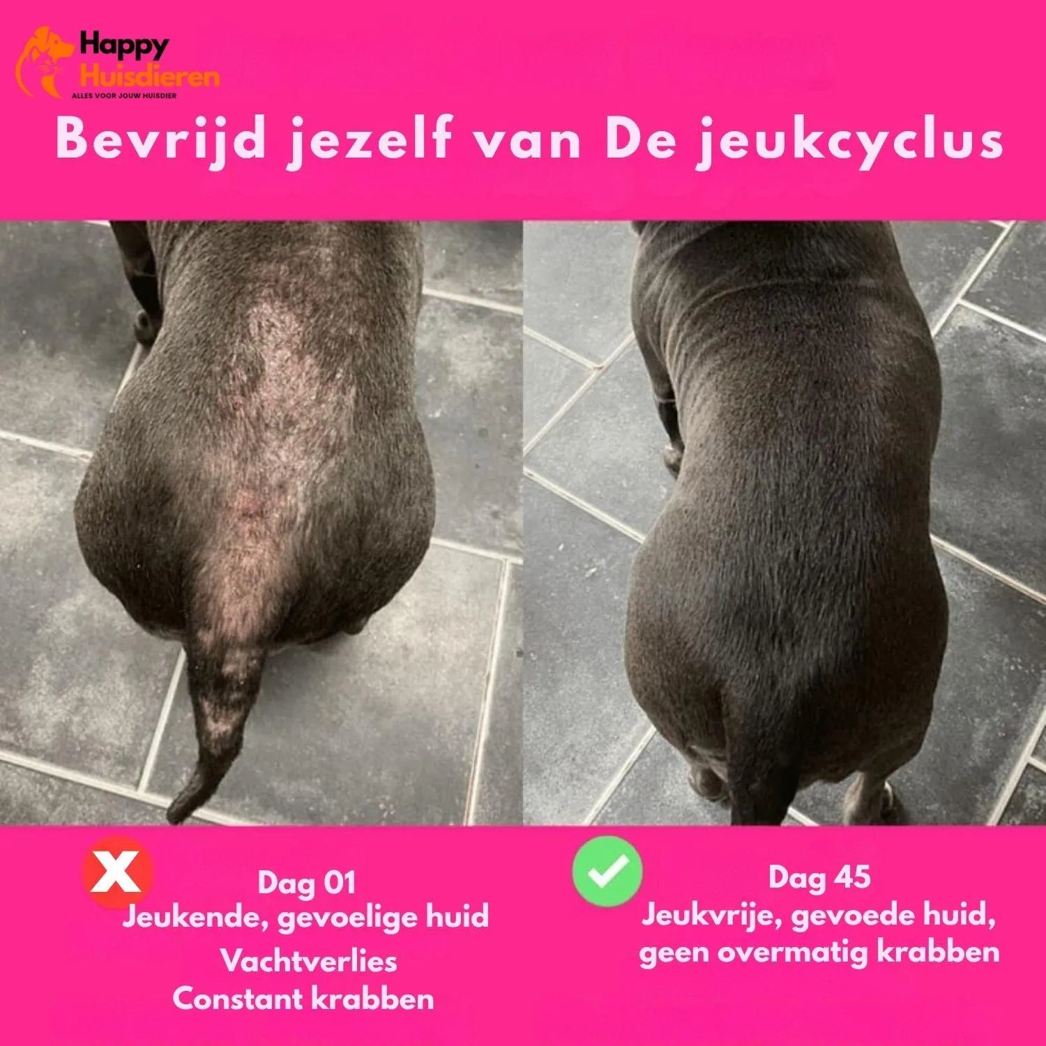 Immunity Treats | Natuurlijke hondensnoepjes voor sterke weerstand & gezonde huid