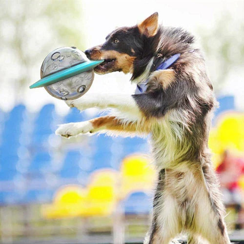 Javi | Interactief UFO-vormig voerspeelgoed voor honden