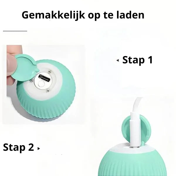 Katavontuur Speelmat | Laat Jachtinstincten Tot Leven Komen