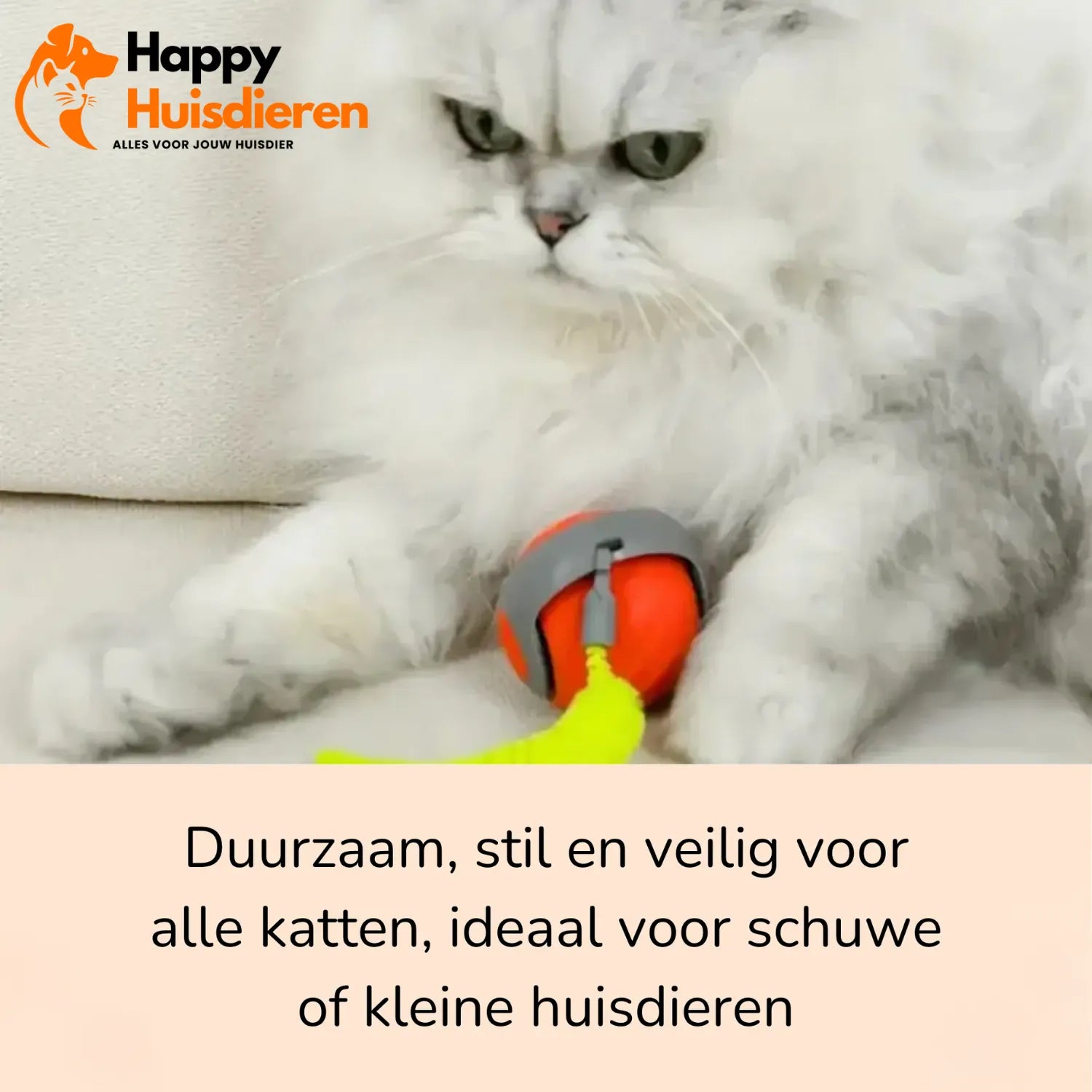 KattenZoom 2.0 | Stimuleer Speels Gedrag met Beweeglijk Speelgoed