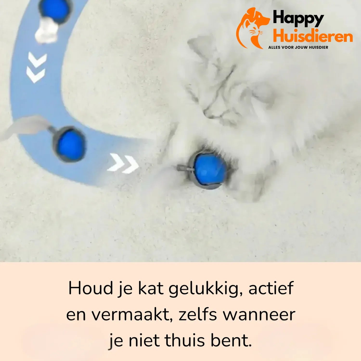 KattenZoom 2.0 | Stimuleer Speels Gedrag met Beweeglijk Speelgoed