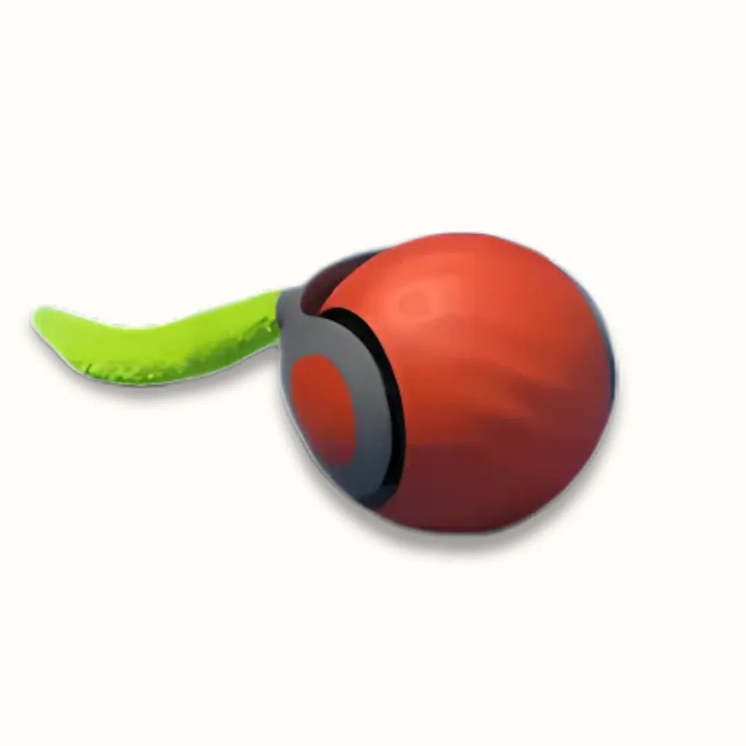 KattenZoom 2.0 | Stimuleer Speels Gedrag met Beweeglijk Speelgoed