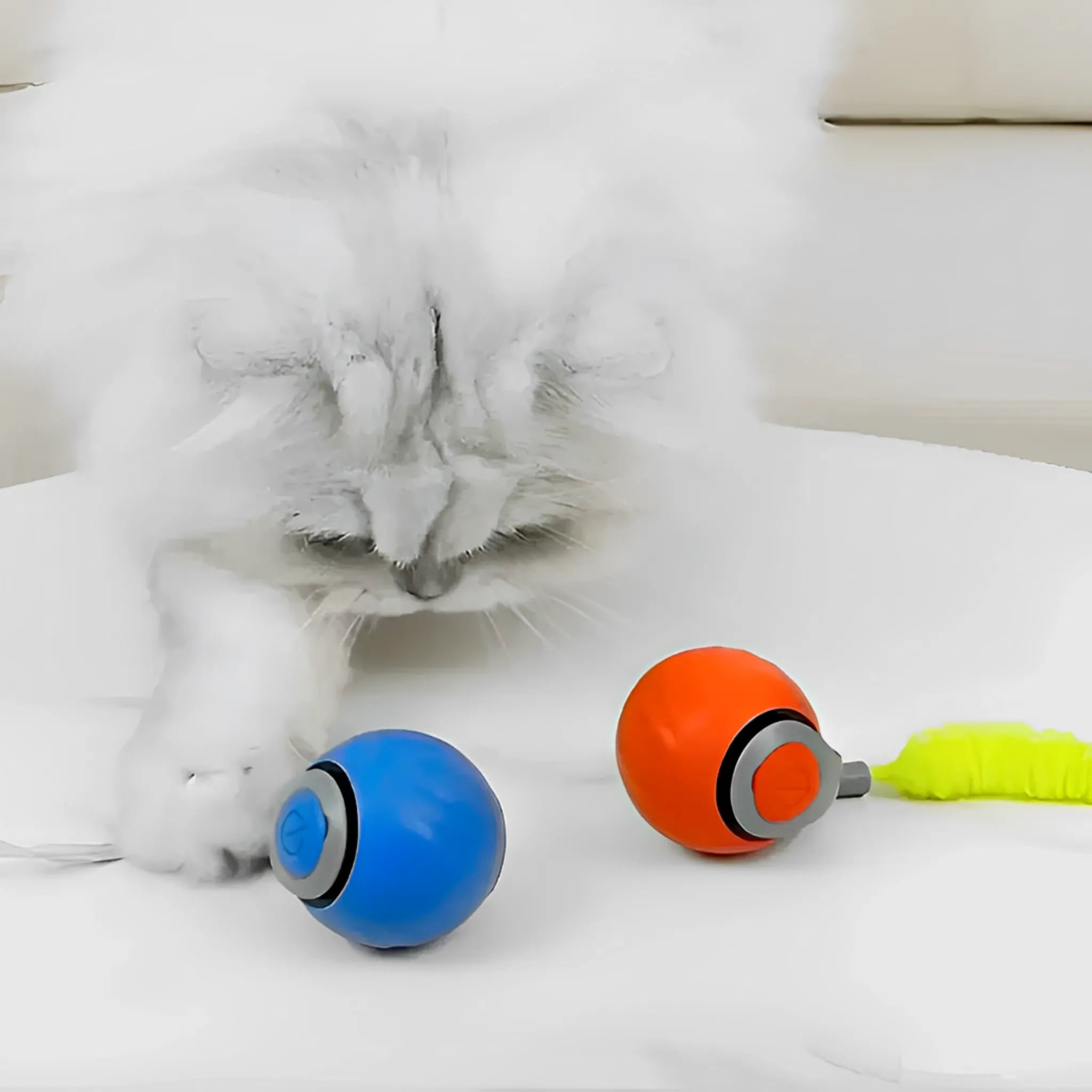 KattenZoom 2.0 | Stimuleer Speels Gedrag met Beweeglijk Speelgoed