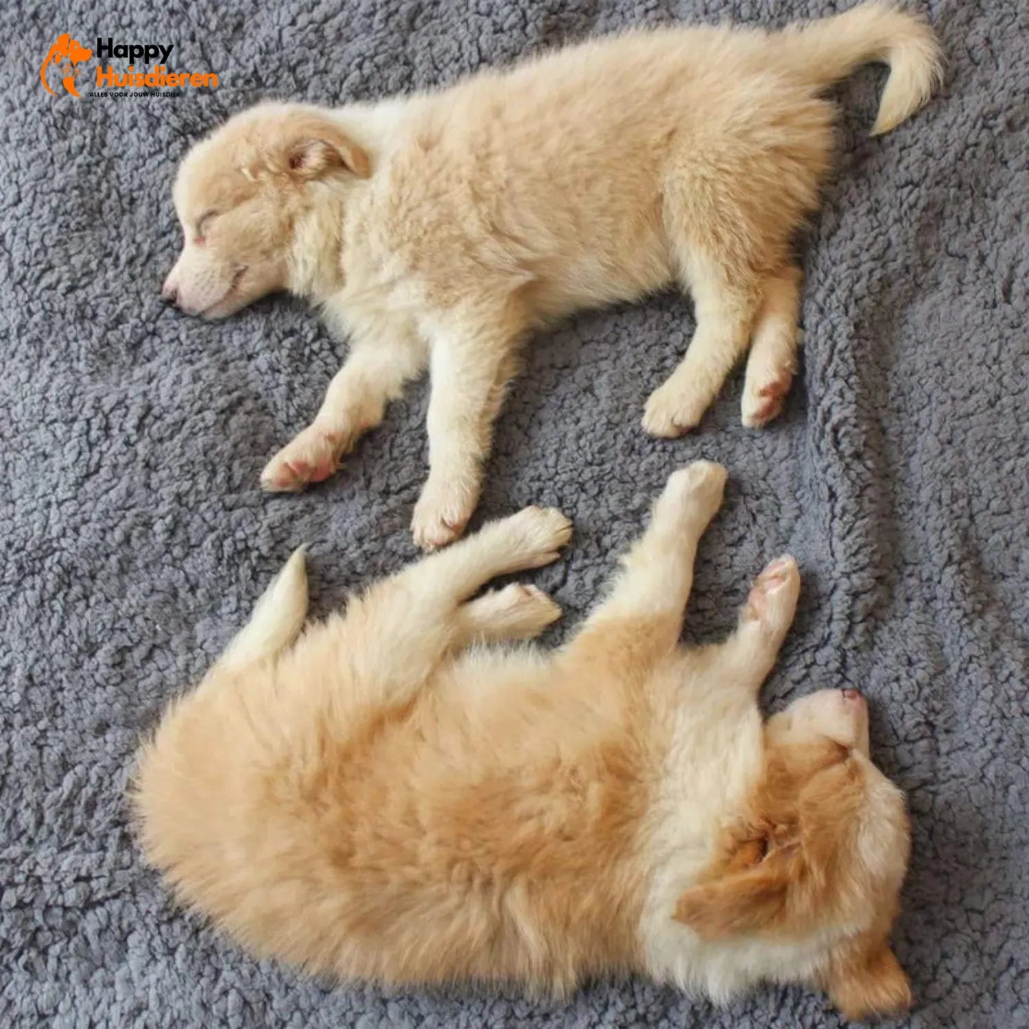 Knuffelvacht Deken | Superzachte Fleece Puppylaag voor Comfort