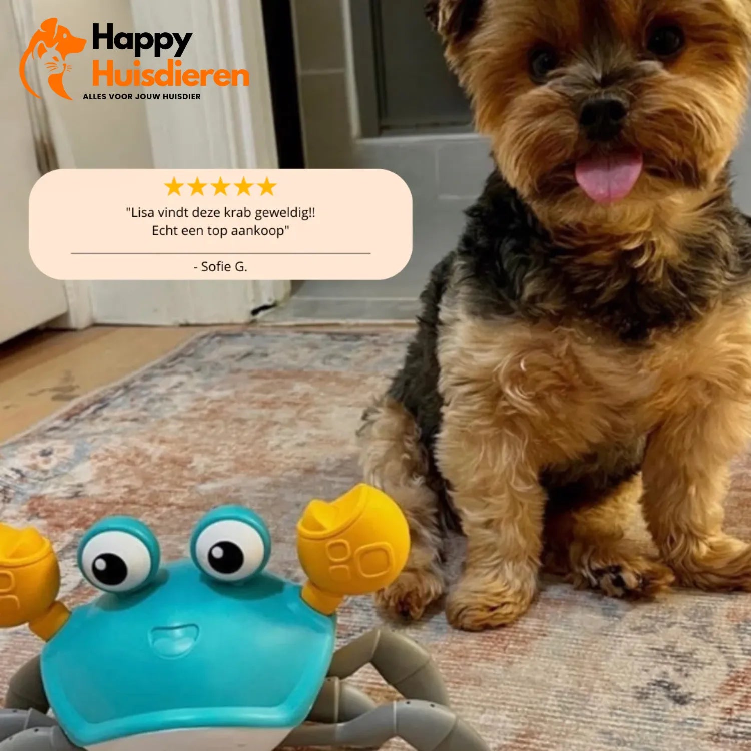 KrabbelKamp | De Ultieme Hondenspeelgoed Uitdaging