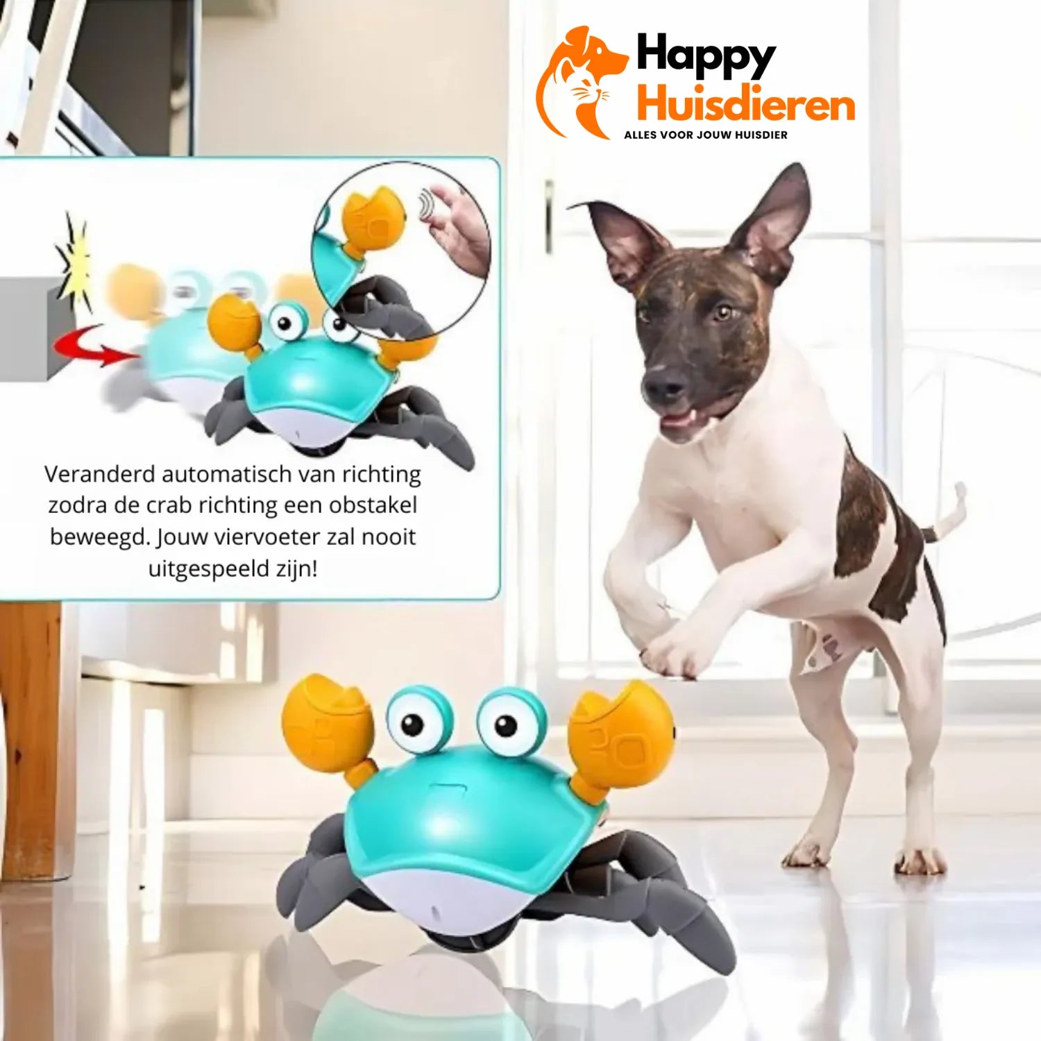 KrabbelKamp | De Ultieme Hondenspeelgoed Uitdaging