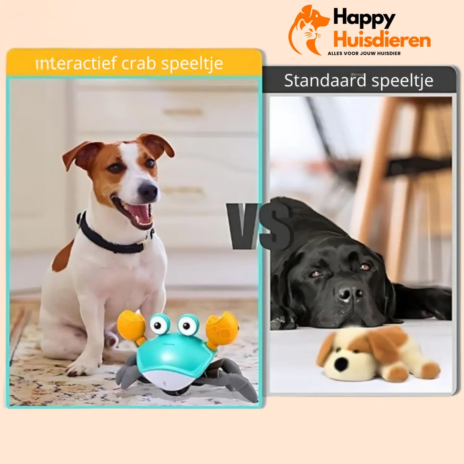 KrabbelKamp | De Ultieme Hondenspeelgoed Uitdaging