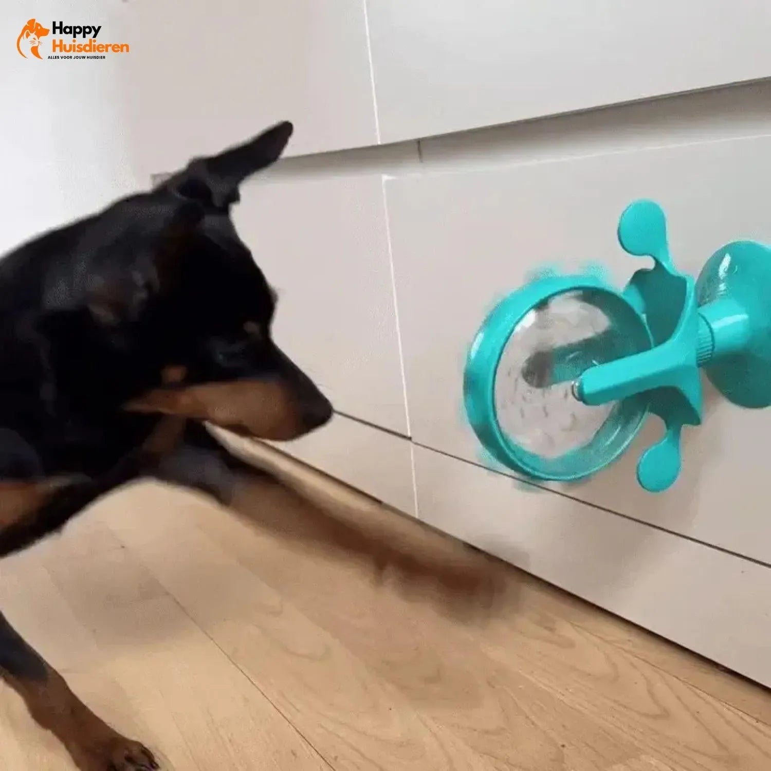 LallyPet | Voedselwindmolen voor huisdieren – stimuleert spel & langzaam eten