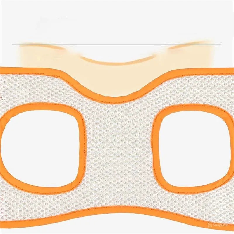 Leo | Hondentuig voor ondersteuning tijdens herstel