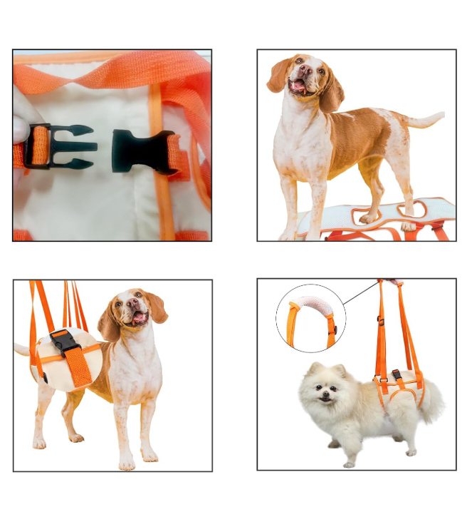 Leo | Hondentuig voor ondersteuning tijdens herstel
