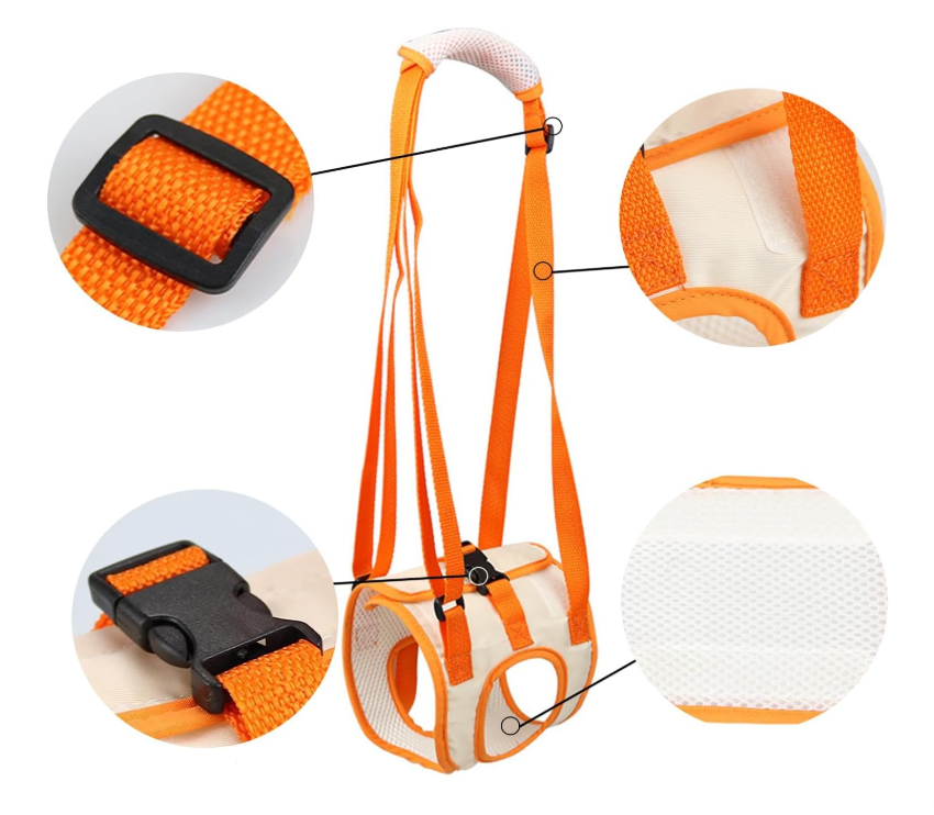 Leo | Hondentuig voor ondersteuning tijdens herstel