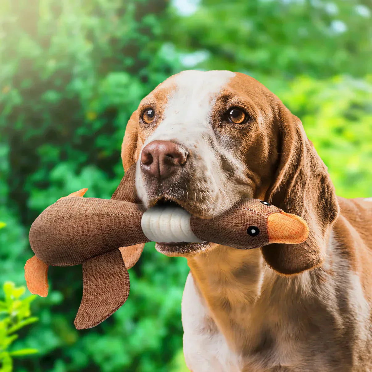 Luna | Stevig kauwspeelgoed voor honden