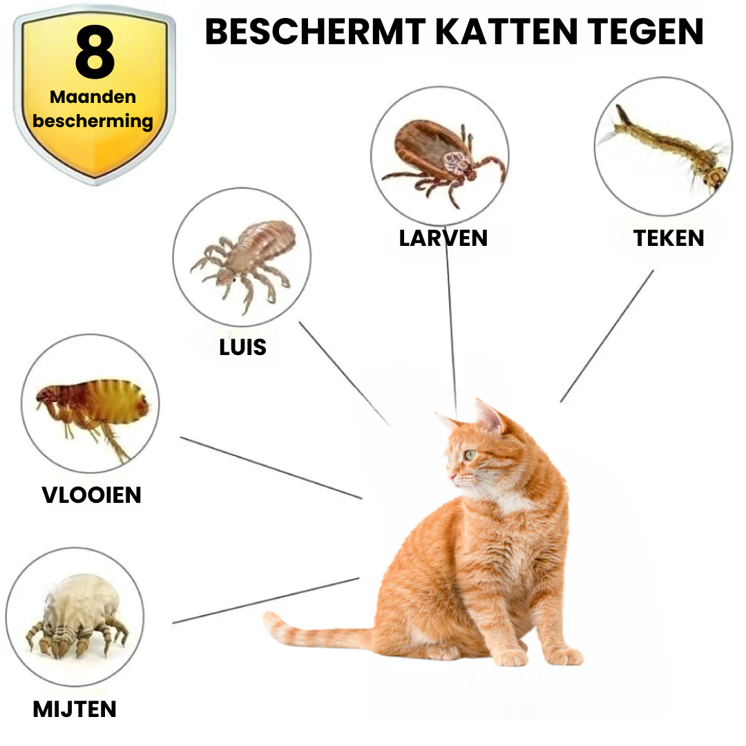 LunaGuard Collar | Tekenband kat 8 maanden natuurlijke bescherming