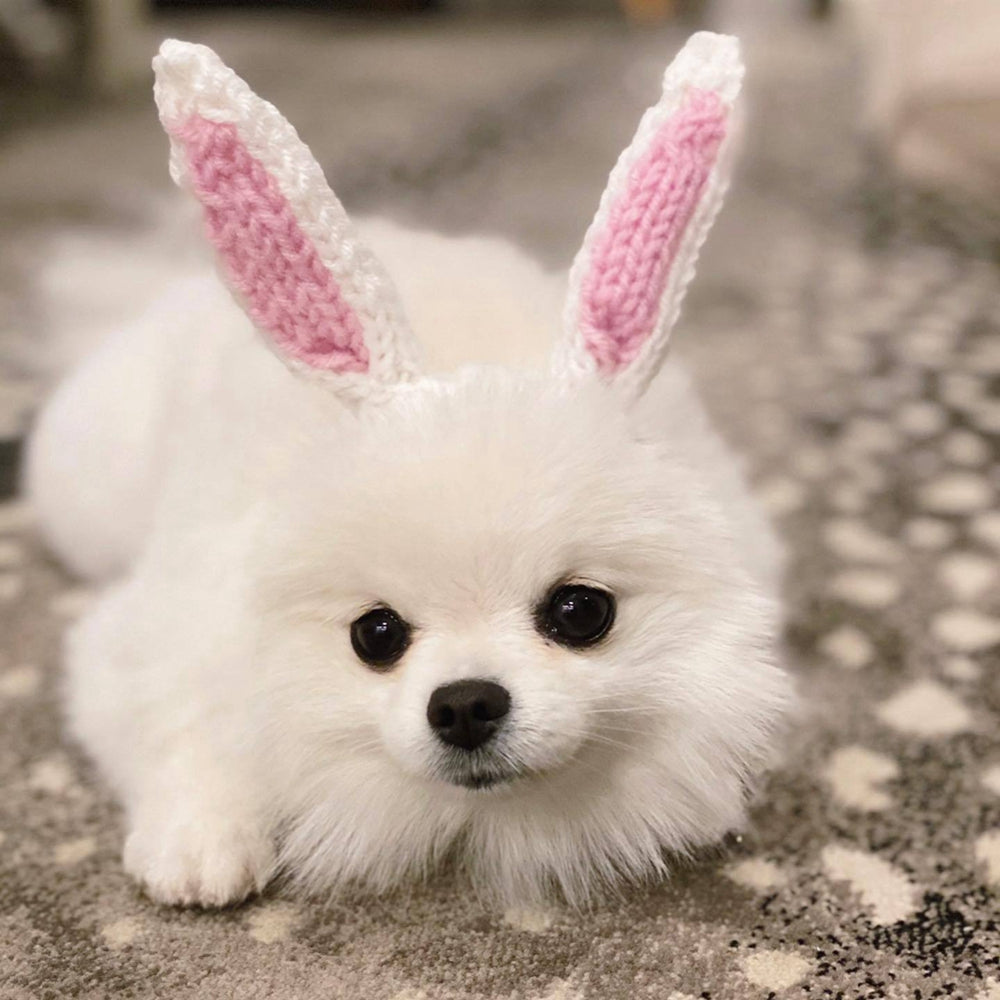 Warme Woef Muts | Gebreide Hondencap voor Winterdagen