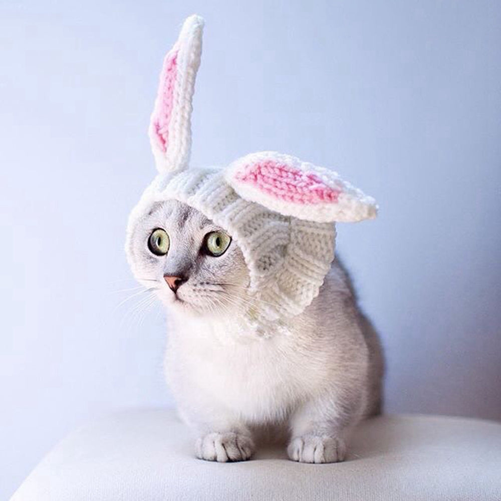 Warme Woef Muts | Gebreide Hondencap voor Winterdagen