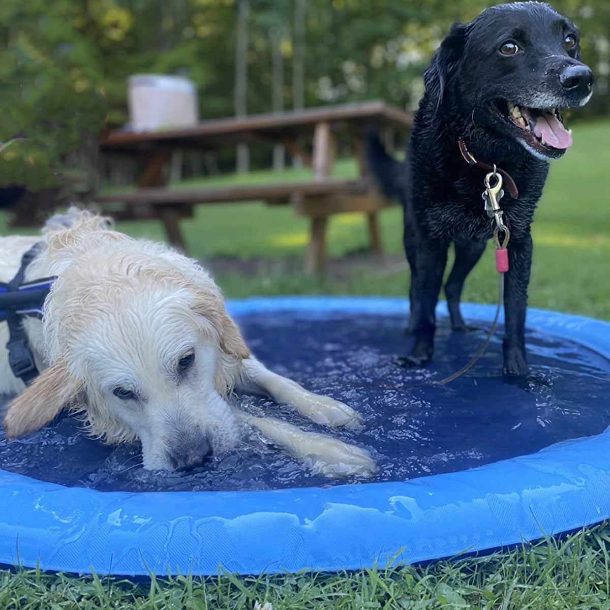 AquaPaws Speeltje | Waterpret voor Uw Hond