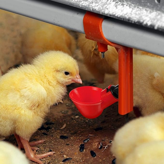 AquaFlow | Het slimme drinkwatersysteem voor stressvrije kippenverzorging