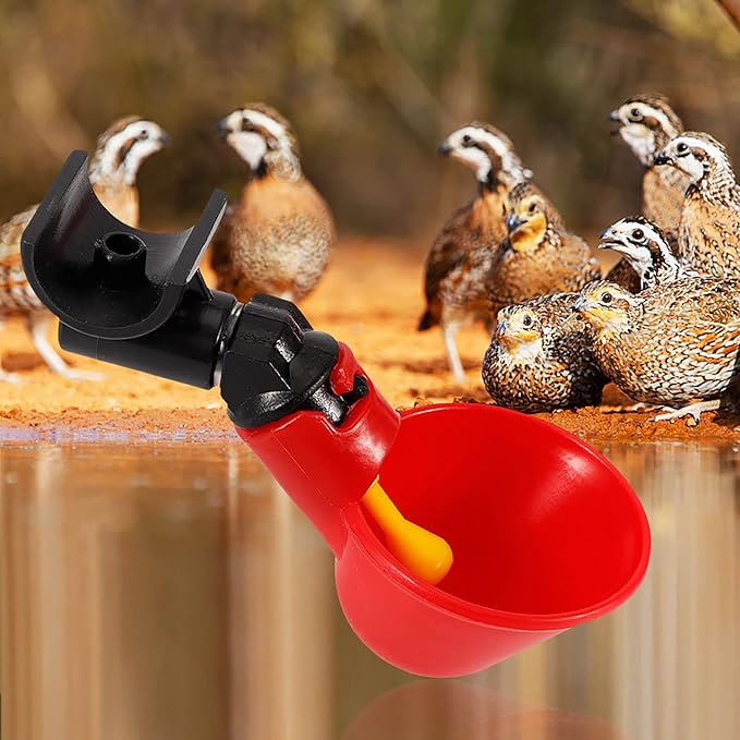 AquaFlow | Het slimme drinkwatersysteem voor stressvrije kippenverzorging