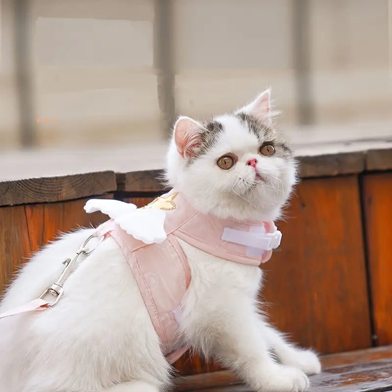 Milo | Katten Tuigje Voor Veilig Wandelen