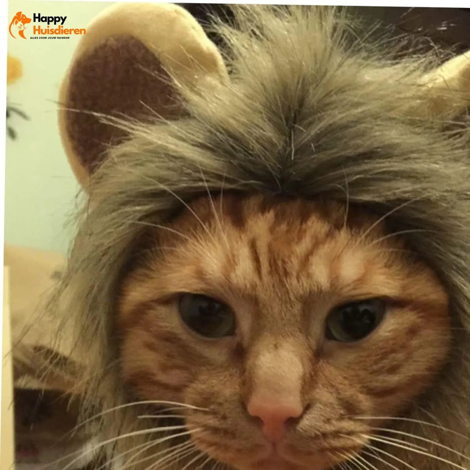 MiniLion | Kattenkostuum met Leeuwenmanen – Schattig & Comfortabel