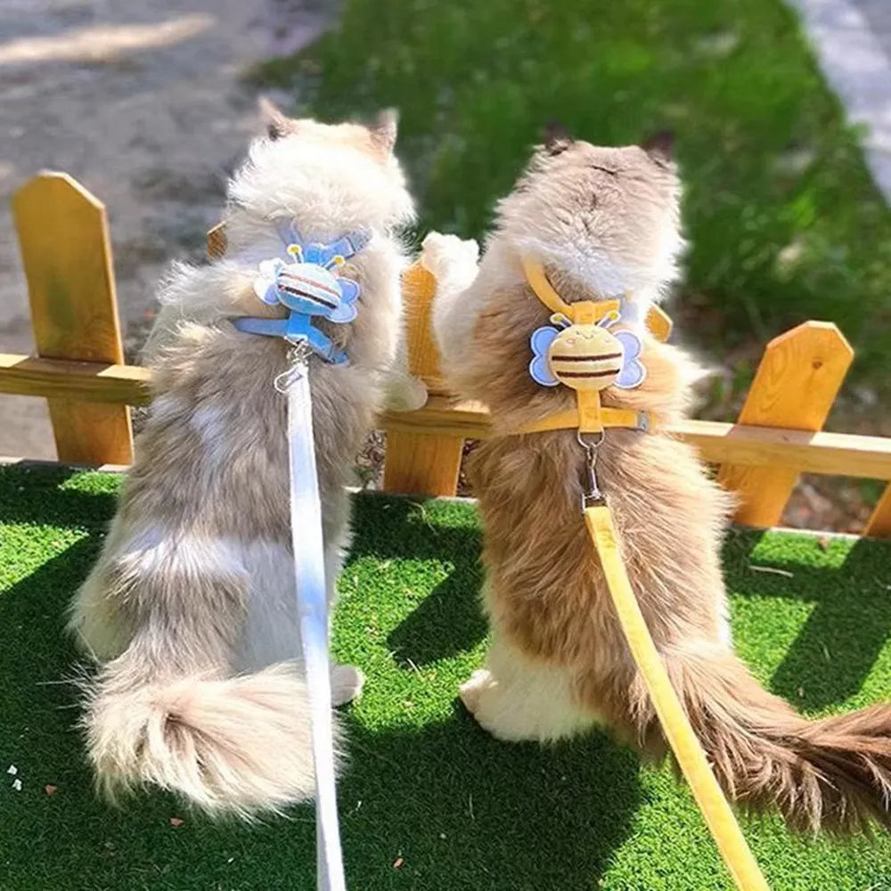 Molly | Kattenharnas voor comfortabele wandelingen