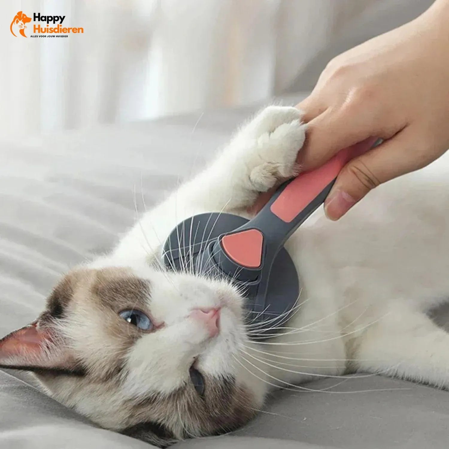 Moos | Zelfreinigende borstel voor katten – zacht, efficiënt & comfortabel