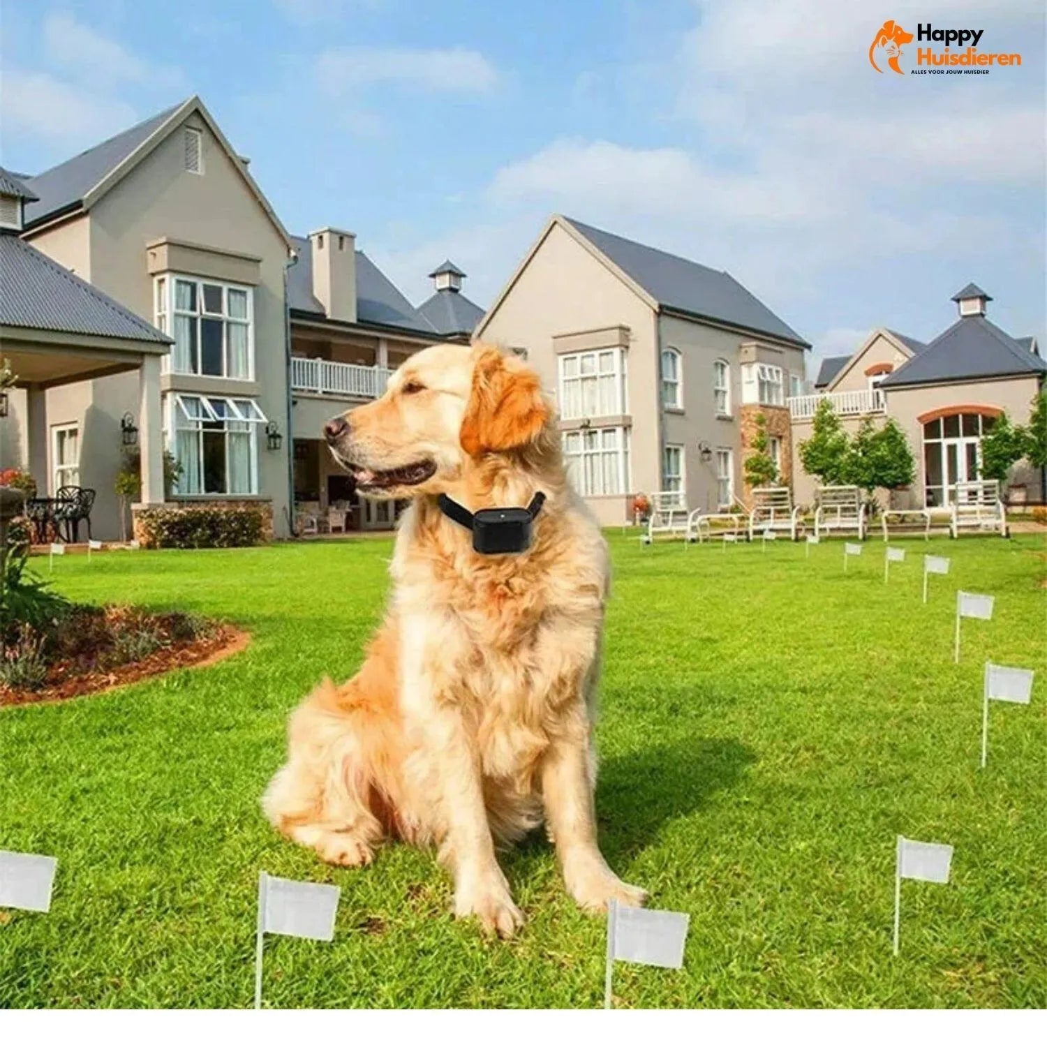 Ongrijpbare Hondenpas | Onzichtbare Draadloze Elektrische Hondenomheining voor Veilig Buiten Spelen