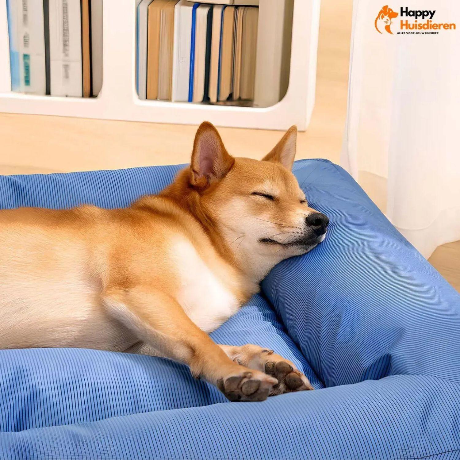 OrthoEase Bed | Waterdicht Orthopedisch Ligbed voor Grote Honden