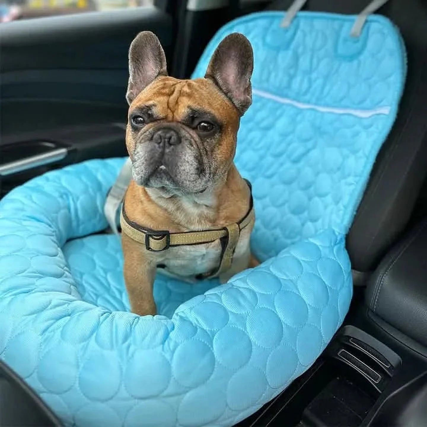 PawChill Autoplek | Verkoelend Hondenbed Ook Voor Reizen