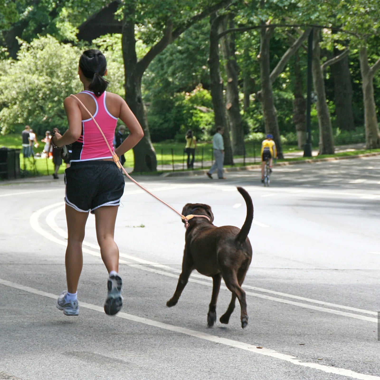PawControl Hondenlijn | Verstelbare P-Vorm Lijn voor Wandelen en Training