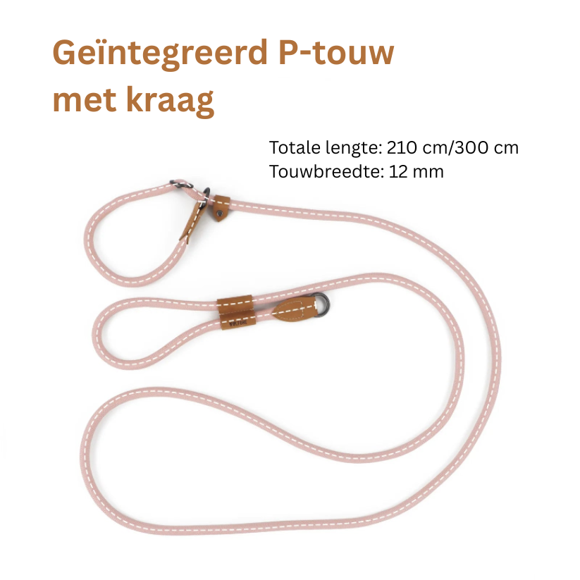 PawControl Hondenlijn | Verstelbare P-Vorm Lijn voor Wandelen en Training