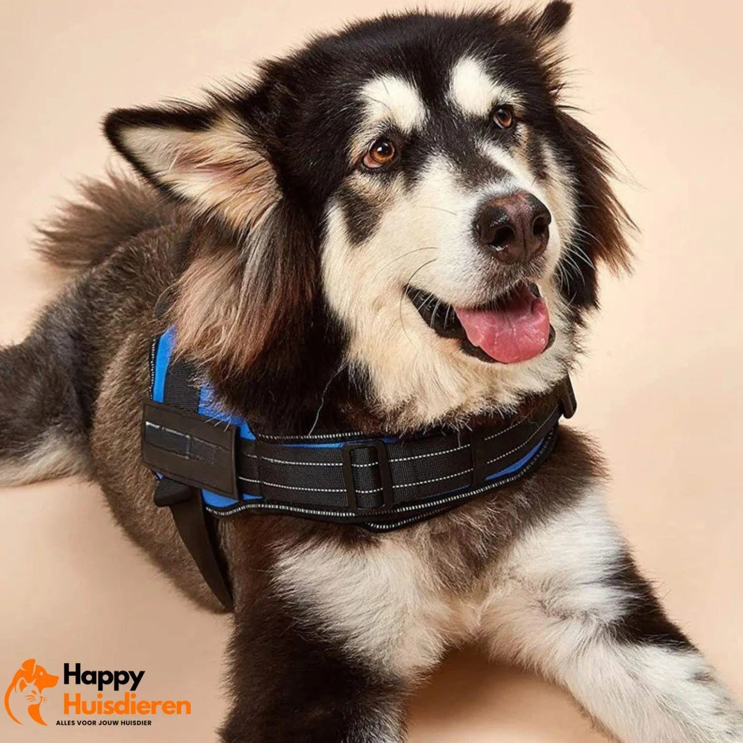 PawControl | Verstelbaar anti-trektuig voor honden