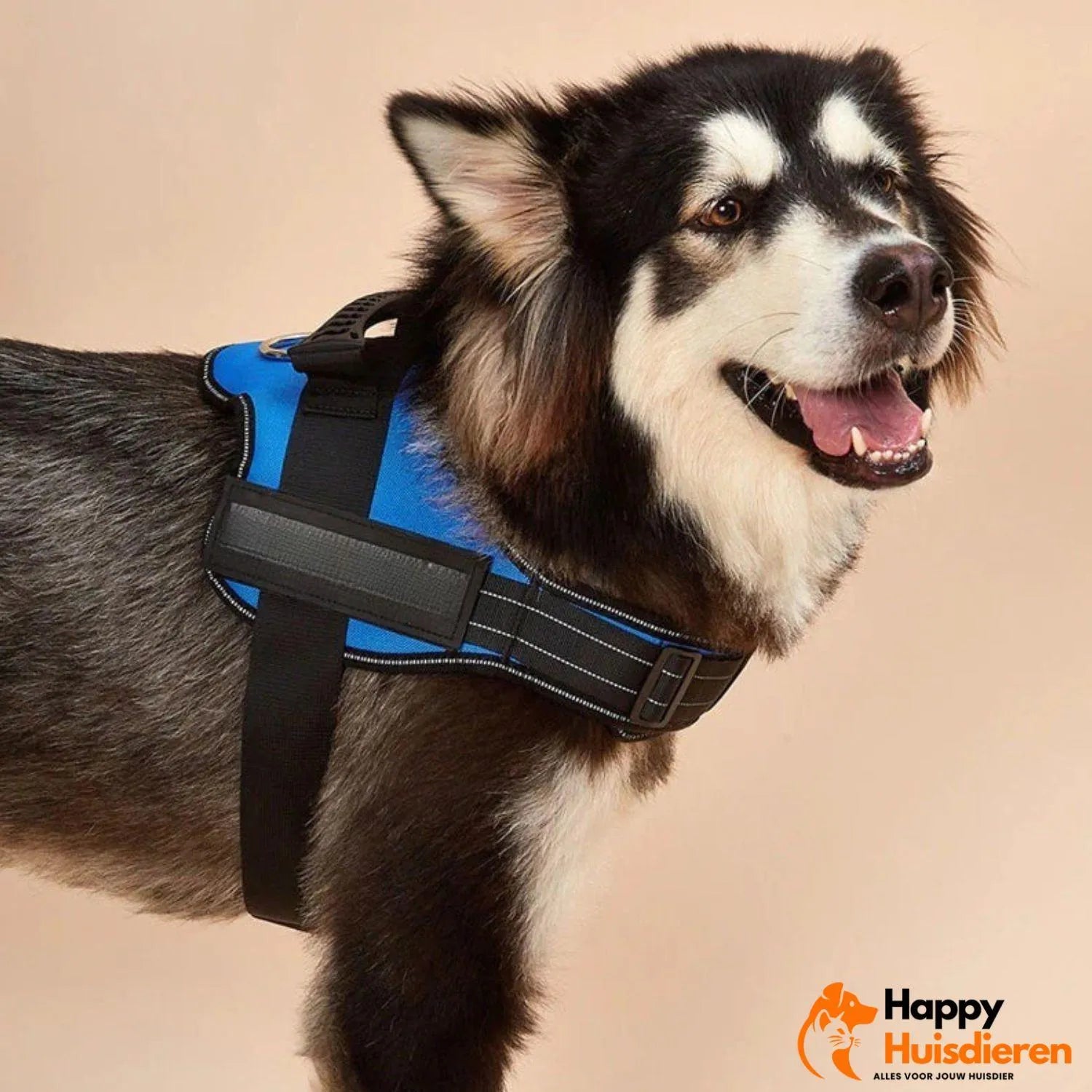 PawControl | Verstelbaar anti-trektuig voor honden