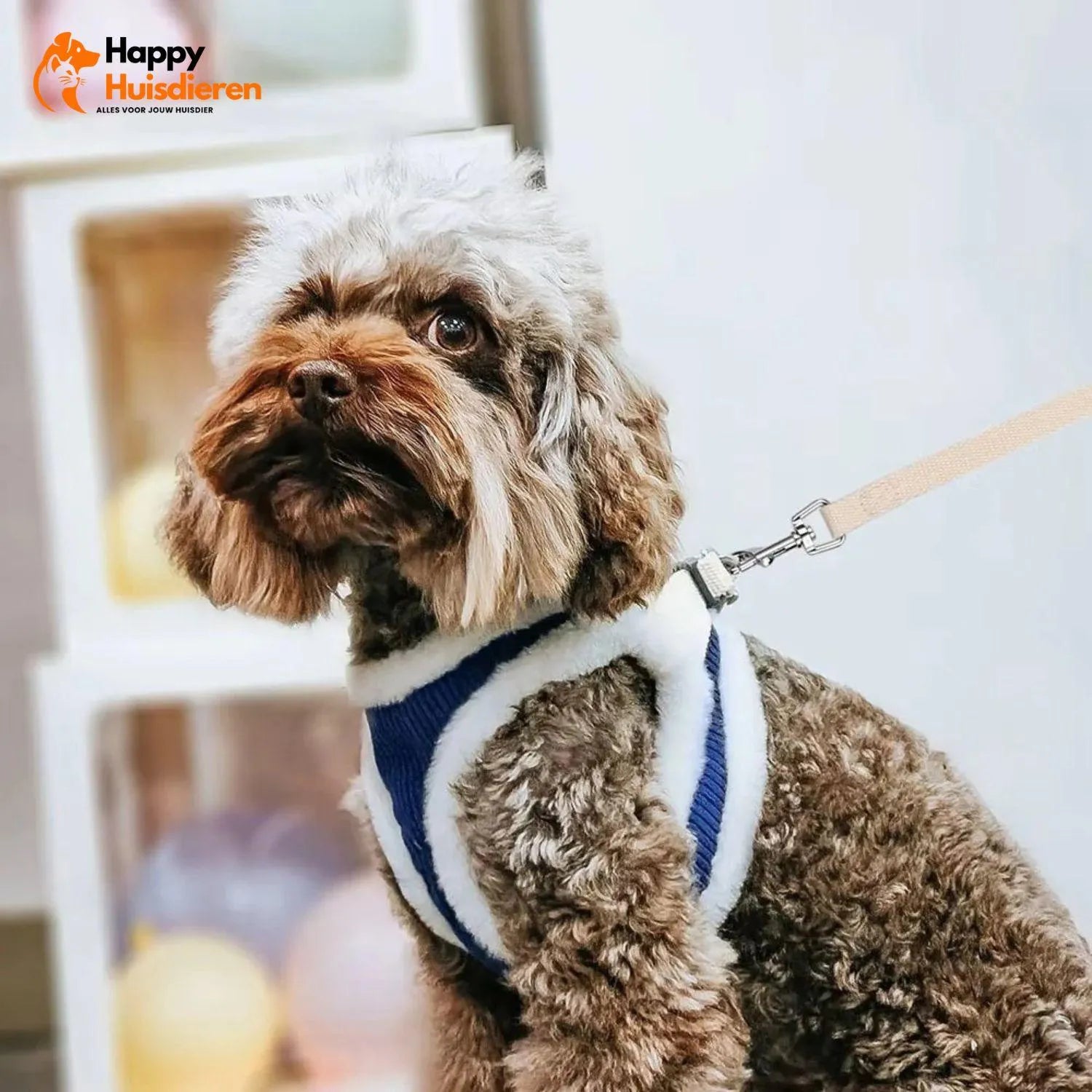 PawSafe | Comfortabel Hondentuig voor Stressvrije Wandelingen