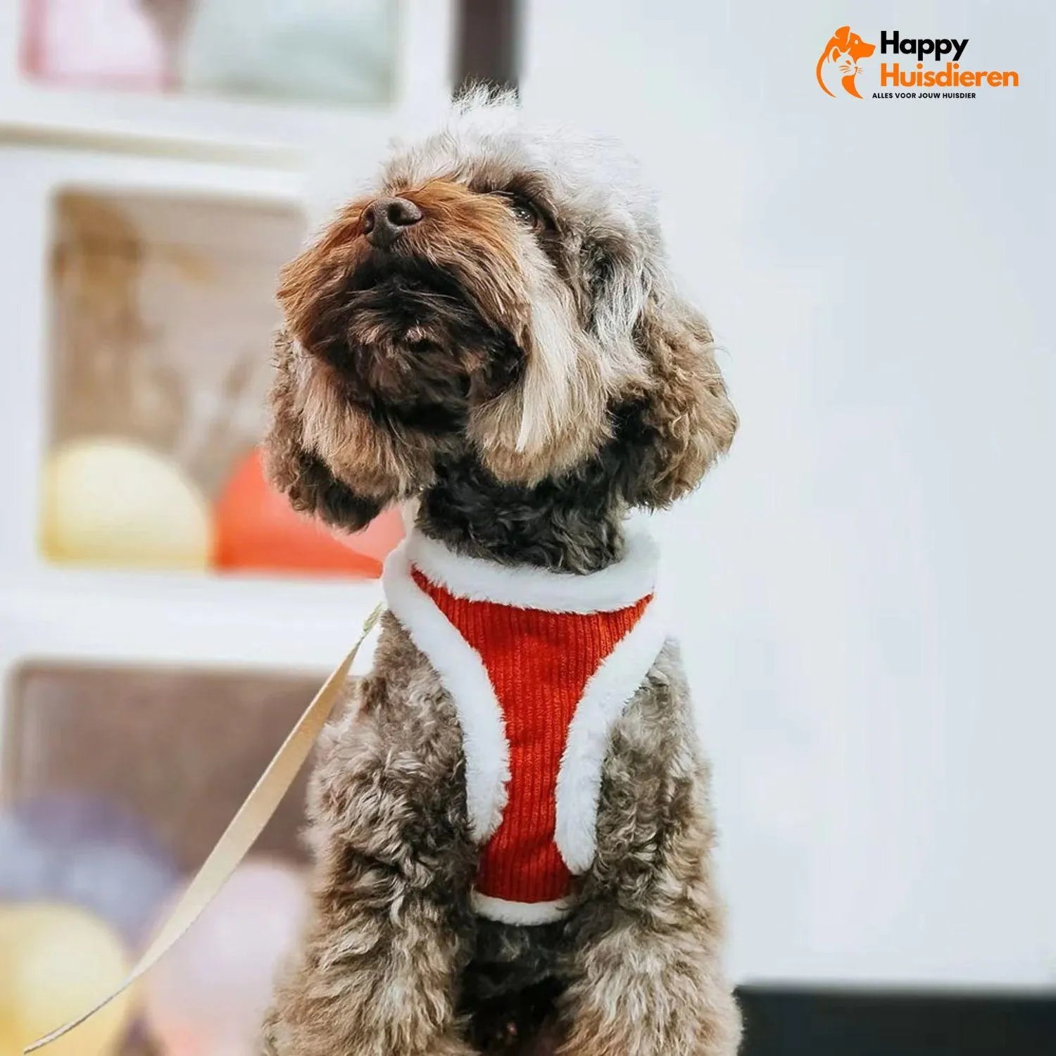 PawSafe | Comfortabel Hondentuig voor Stressvrije Wandelingen