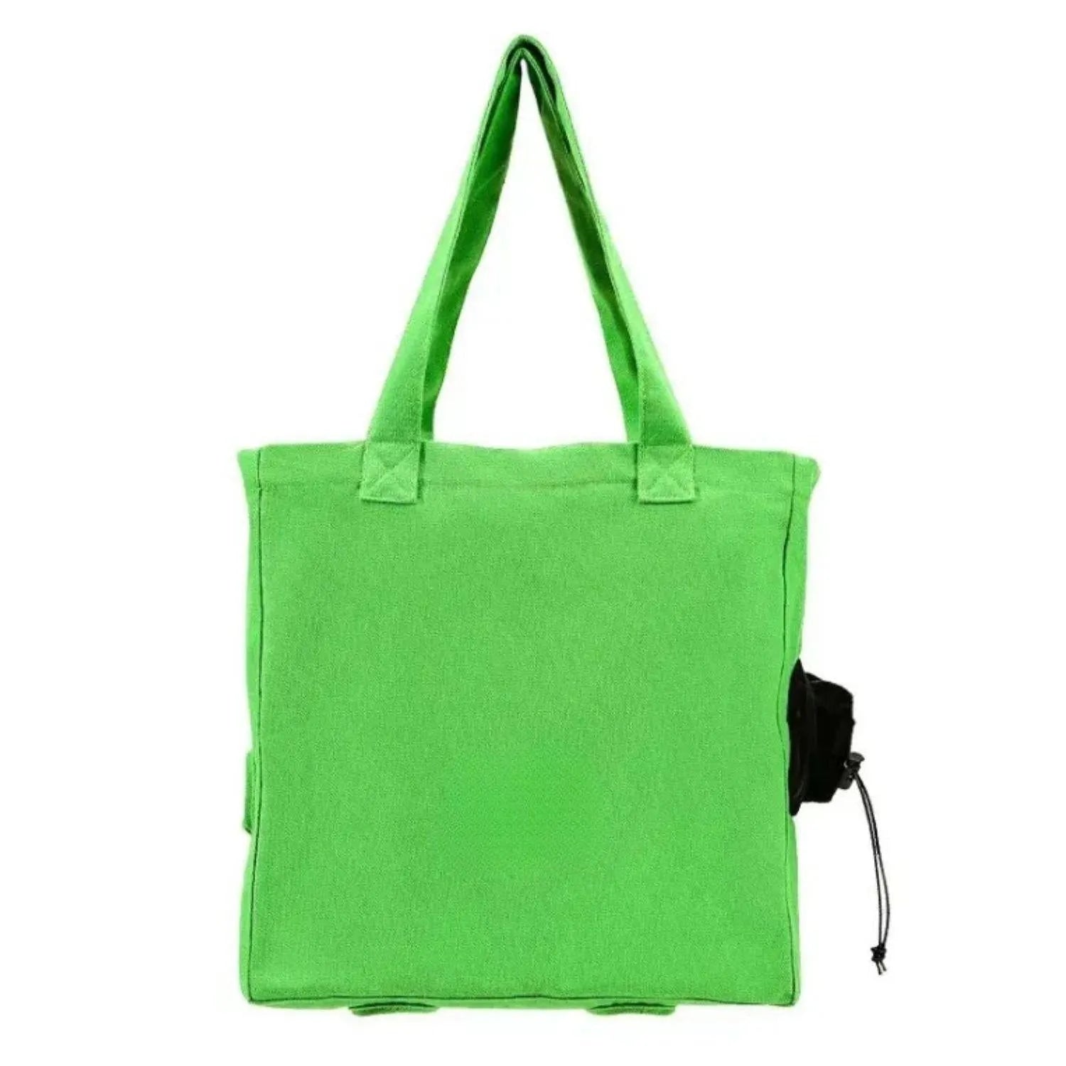 PawVoyage Bag | Veilige kattendraagtas met gewatteerde binnenkant & veelzijdig gebruik