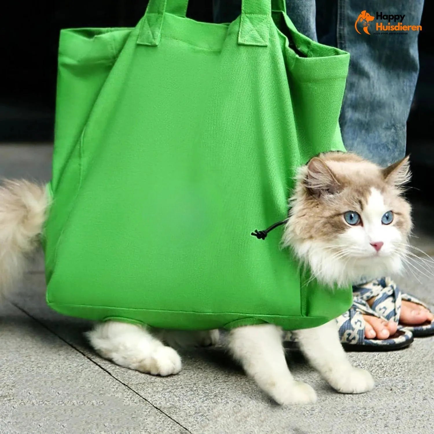 PawVoyage Bag | Veilige kattendraagtas met gewatteerde binnenkant & veelzijdig gebruik