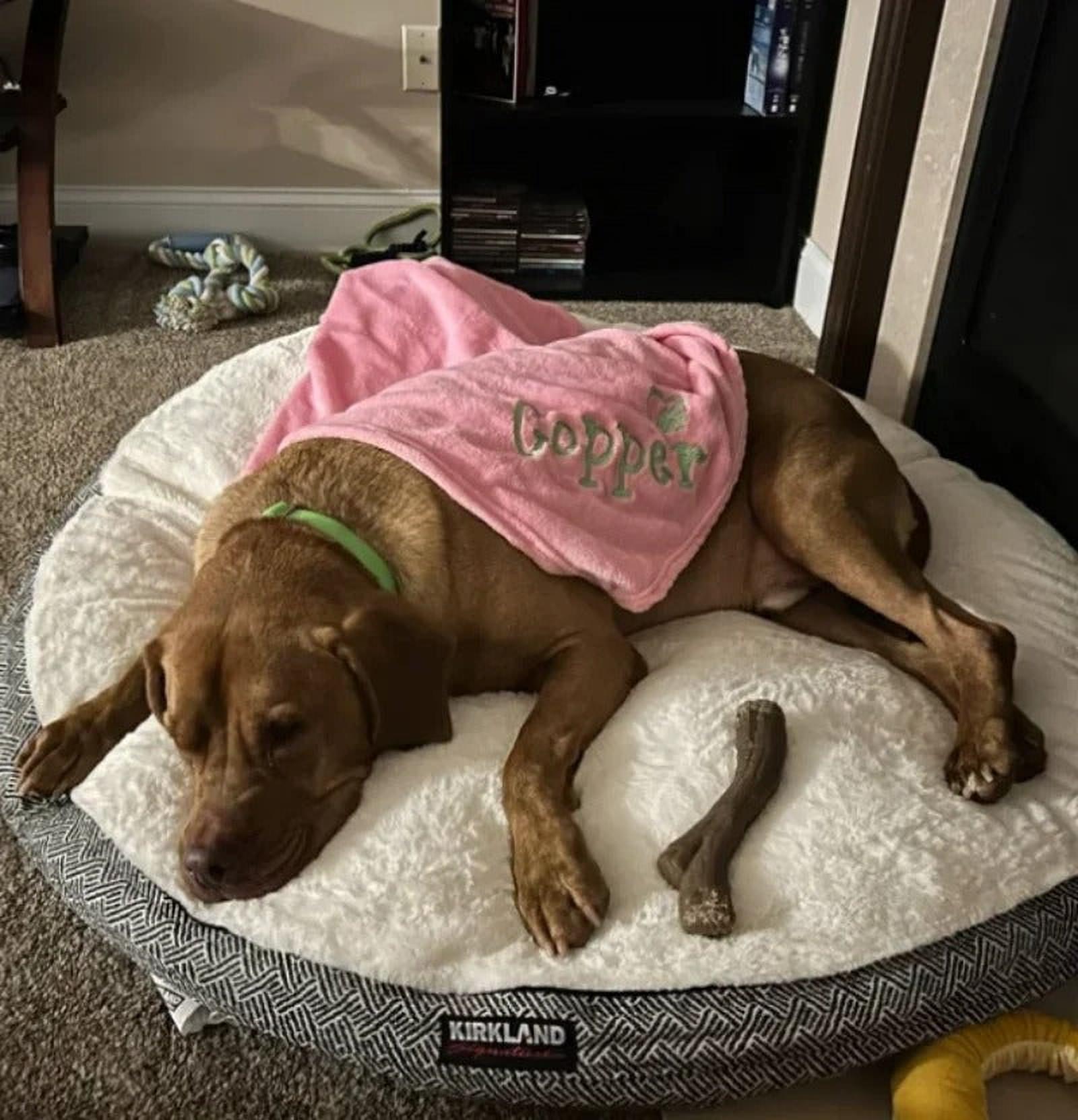 Pawsome Persoonlijke Deken | Gepersonaliseerde Hondennaam Dekken voor Comfort