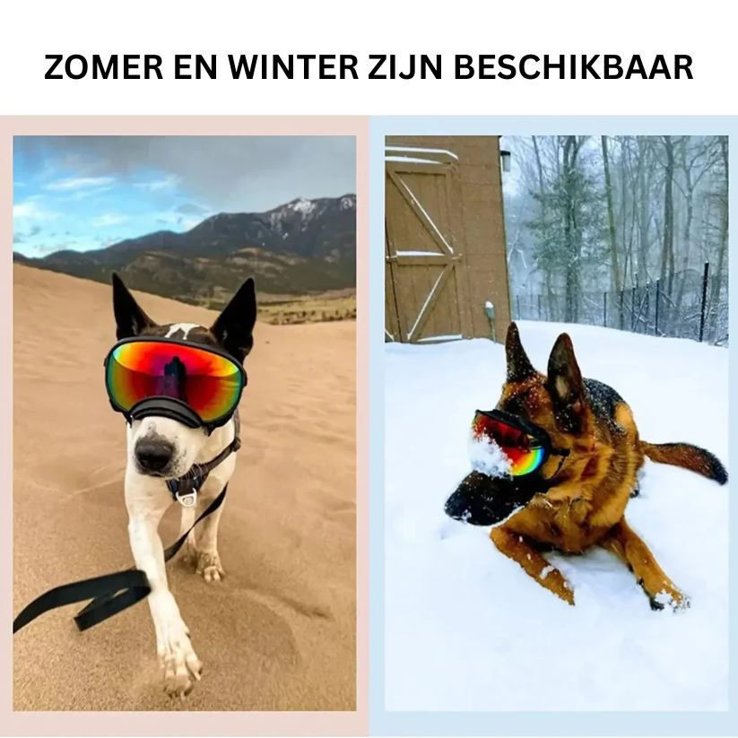 SunSnout Pro | Verstelbare zonnebril met UV-bescherming voor grote honden
