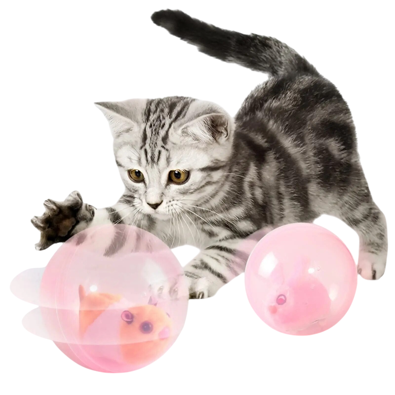 PlayJoy | Interactieve spelbal voor katten en honden tegen verveling en stress